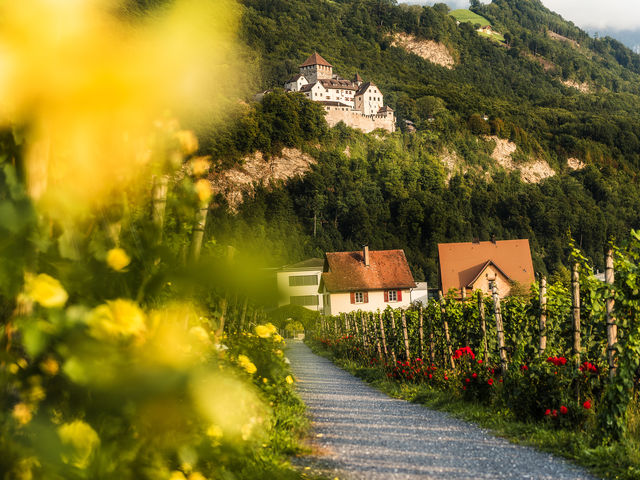 Schloss Vaduz Wingert