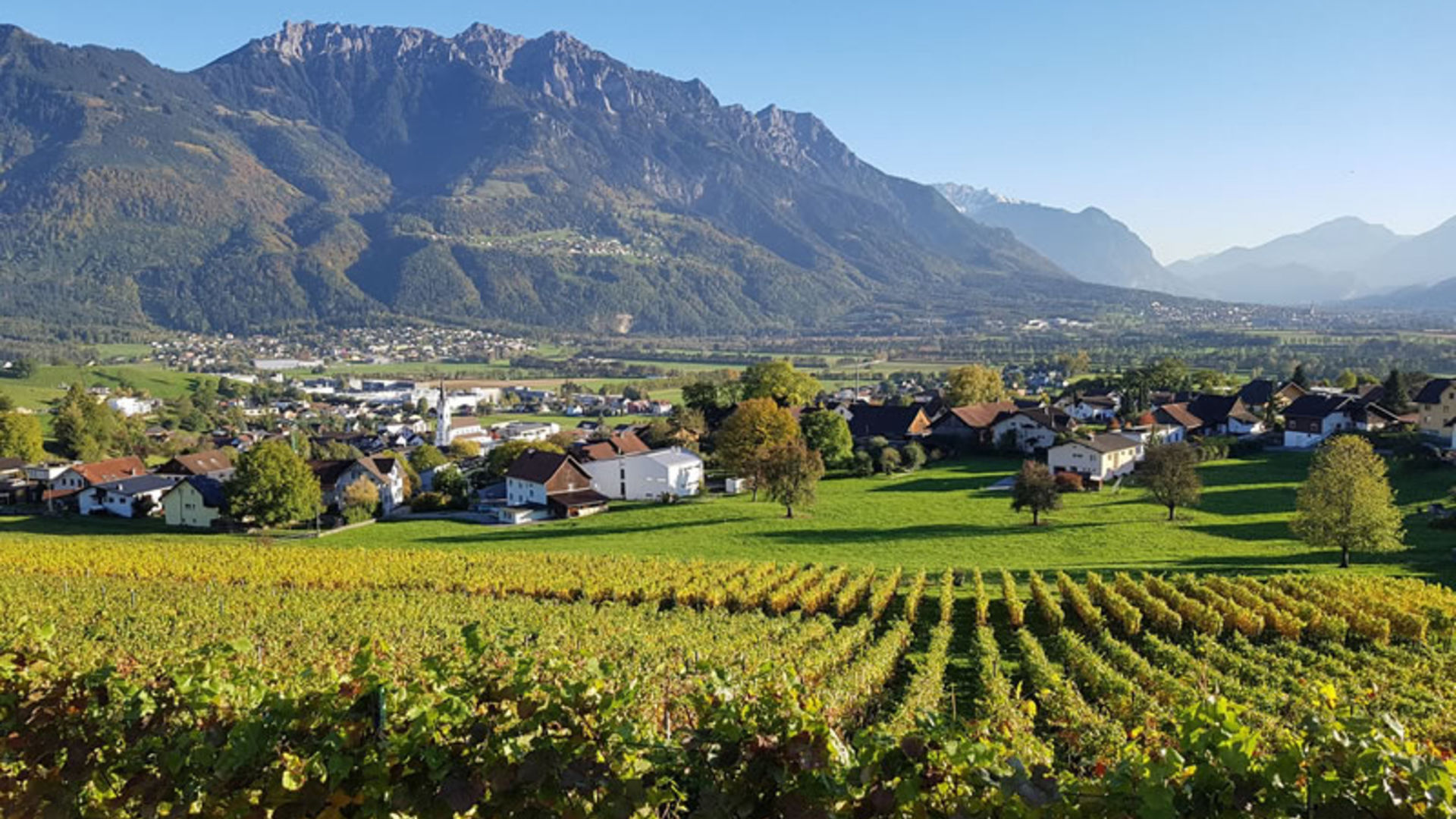 Vineyard Castellum Vineyard Castellum